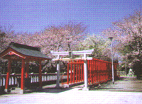 割狐塚稲荷神社